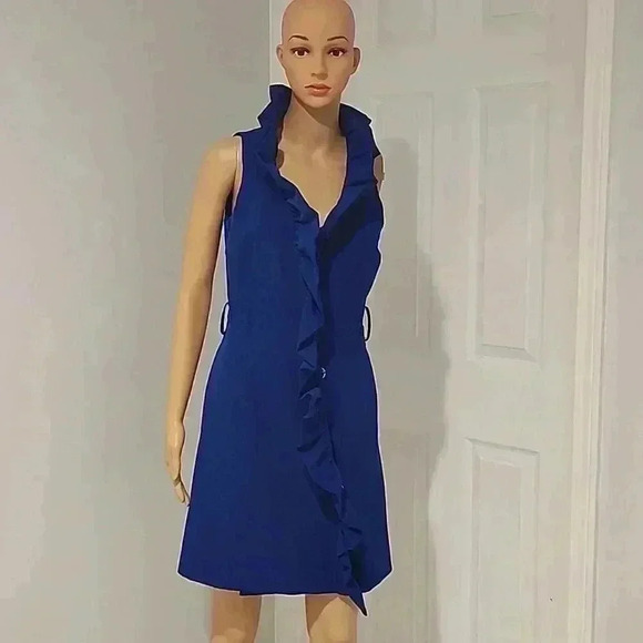 Milly dress  - Picture 1 of 9